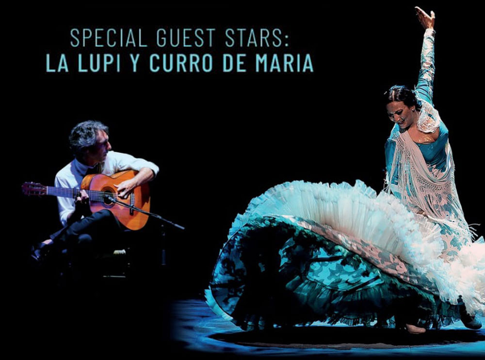 Bild "Flamenco:lupi-maria.jpg"